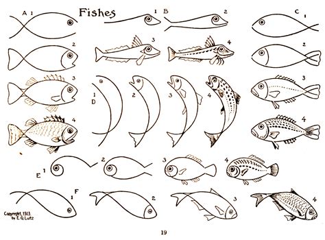 Step By Step How To Draw Fish at Drawing Tutorials