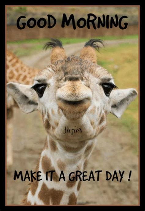 good morning have a great day meme - Gabriella Shullick