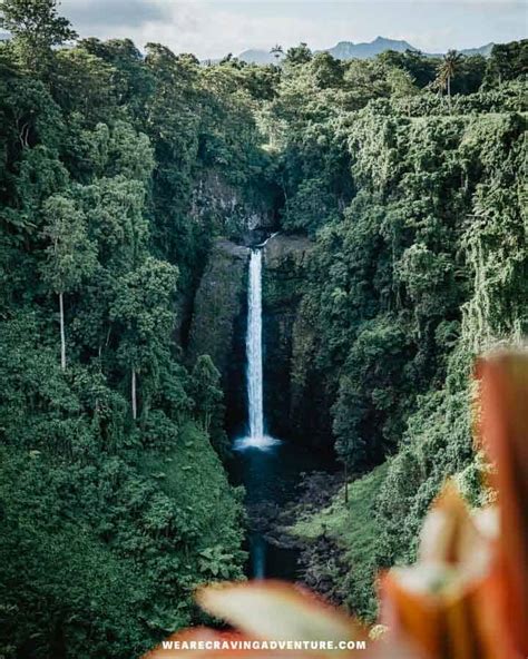 The 14 Best Things To Do On Upolu, Samoa – Craving Adventure