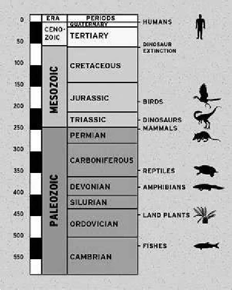 The great Eras of the evolution of life. | Download Scientific Diagram