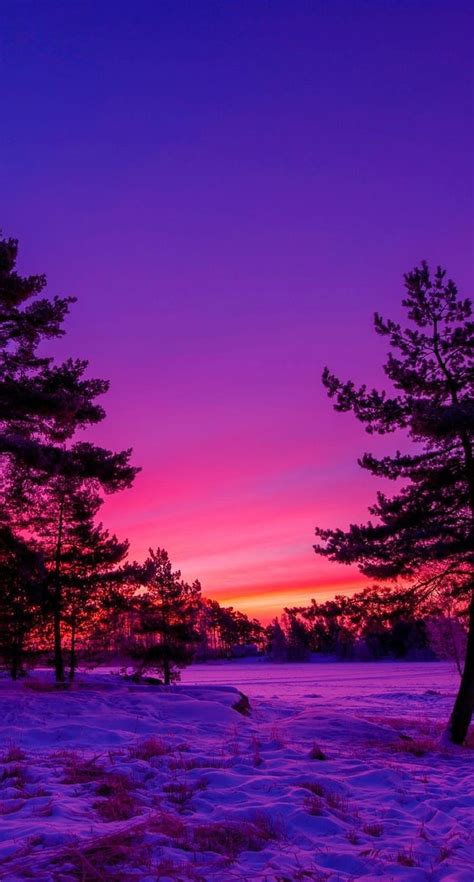 Bộ Sưu Tập Wallpaper Purple Nature Độc Đáo, Phong Cách, Miễn Phí