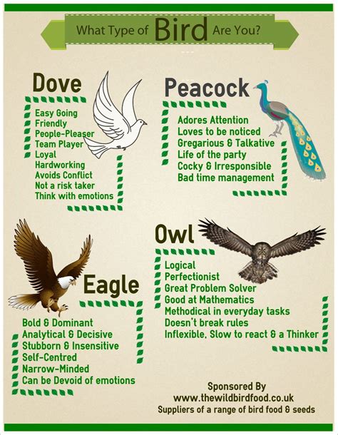 Bird Personality Test Printable - Printable And Enjoyable Learning