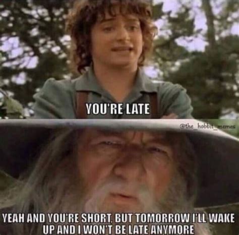 “Lord Of The Rings" Memes That Only The Fellowship Will Enjoy (31 pics ...