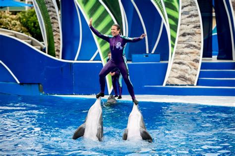 PETA's latest demand: End 'circus-style' dolphin shows at SeaWorld - The San Diego Union-Tribune