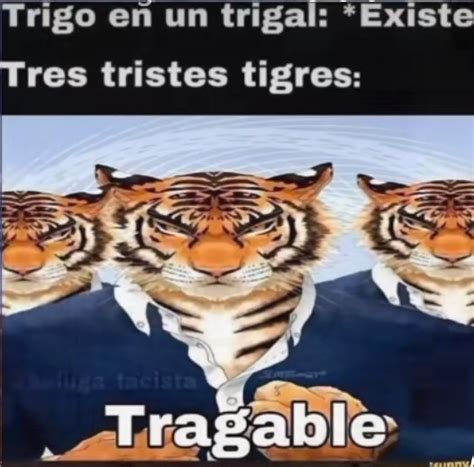 Tres tristes tigres tragan trigo en un trigal - Meme subido por Memosito_ :) Memedroid