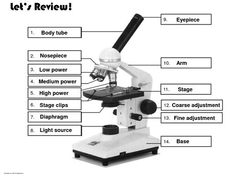 Printable Microscope Worksheet