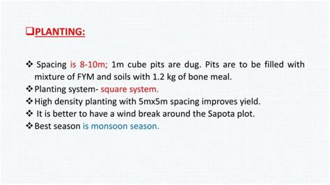 sapota cultivation | PPT