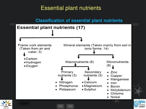 PPT - Essential plant nutrients PowerPoint Presentation, free download ...