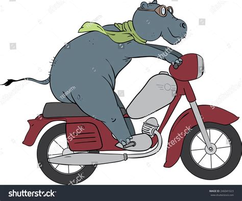 Image result for hippo bike