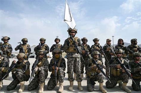 Explainer: What is Badri 313 unit? Taliban's so-called 'special force' - South Asia News