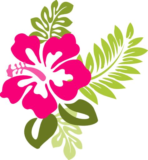 Hibiscus flower clipart 20 free Cliparts | Download images on ...