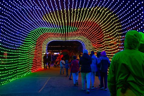 First Look: Bronx Zoo Holiday Lights – Westchester Family