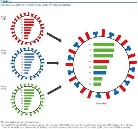 Avian Flu Diary: Vet. Microb.: Analysis Of Korea Lineage Of Avian H9N2 ...