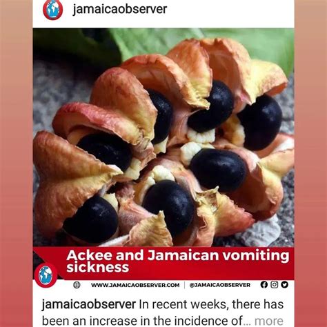 Ackee poisoning...Jamaican Vomiting... - Dr.DavidsonHealth | Facebook