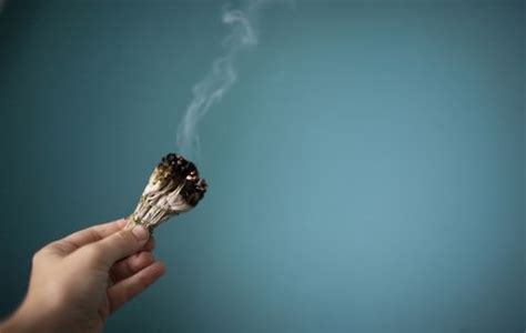 The Top 3 Benefits of Burning Sage — Smudging Benefits