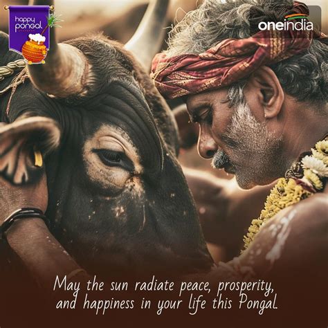 Pongal 2024: Spread Joy and Prosperity with These 15 Heartwarming ...