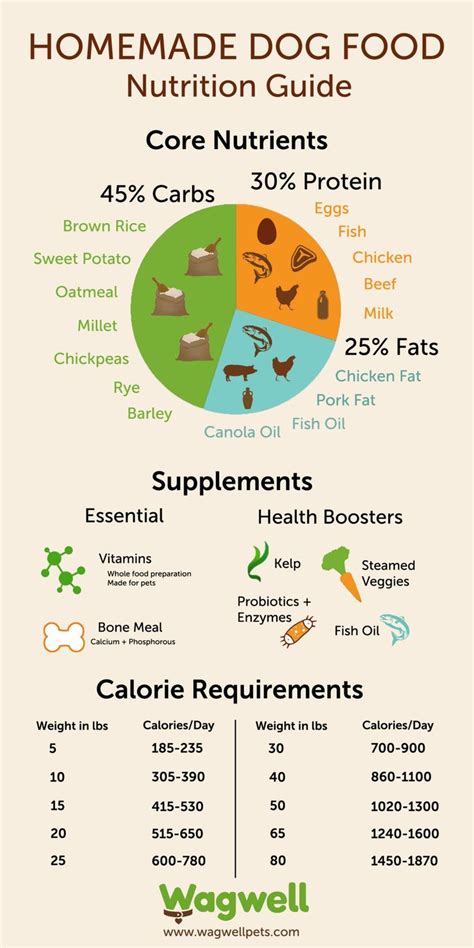 10+ Best Dog Food & Nutrition Infographics Ever Made | Dog food recipes ...