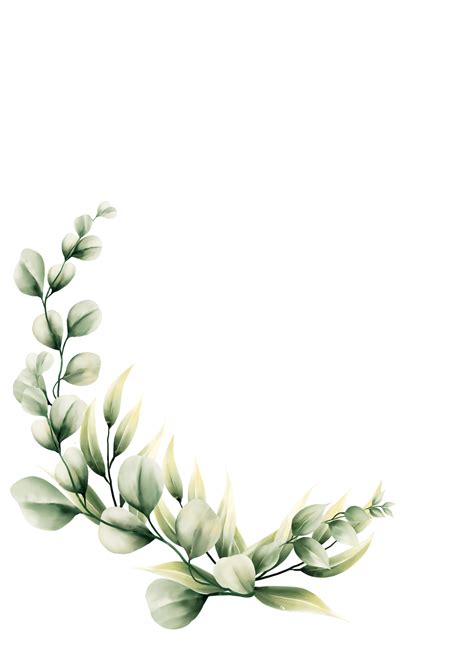 Download Watercolor eucalyptus leaf for free | Flower backgrounds ...