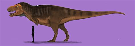 PALEOART: FAIRLY ACCURATE T. REX by Taliesaurus on DeviantArt