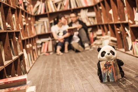 Free Images : wood, girl, panda, library, couples, flooring 2200x1467 - - 750411 - Free stock ...