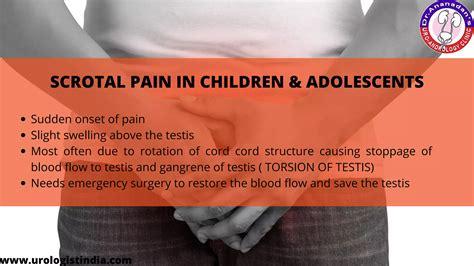 Symptoms of scrotal masses | PPT