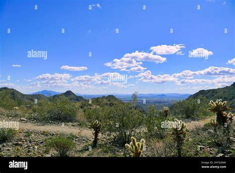 Walking trail in the desert of Skyline Regional Park in the southern ...