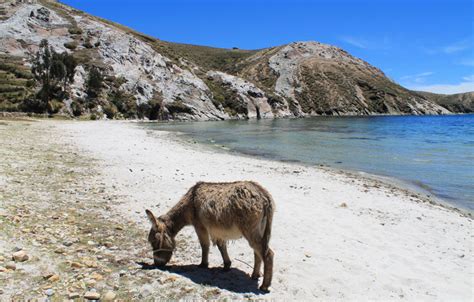 Hiking Isla del Sol, Bolivia: Ruins, Beaches and Mountains