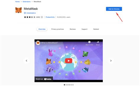 How to Set Up Your Metamask Wallet?