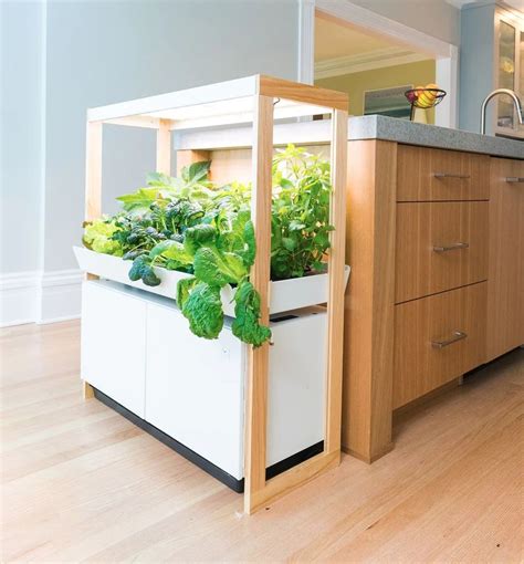 Indoor Vegetable Garden Kit