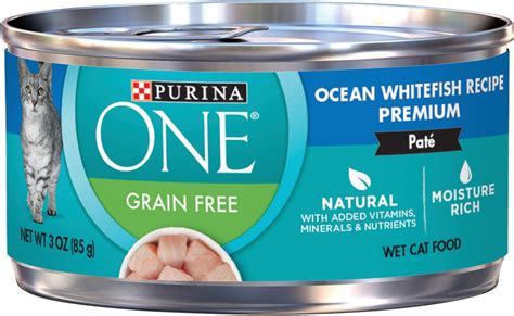 PURINA ONE Ocean Whitefish Recipe Pate Grain-free Canned Cat Food, 3-oz, case of 24 - Chewy.com