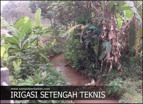 PENGERTIAN SAWAH IRIGASI SETENGAH TEKNIS - Sampul Pertanian