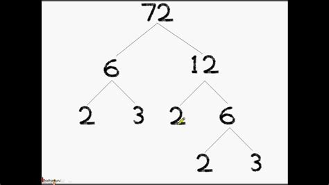 Math - Prime factorization - What is a Factor Tree - English - YouTube