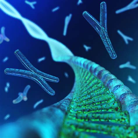 Telomere Shortening & What We're Learning About Aging