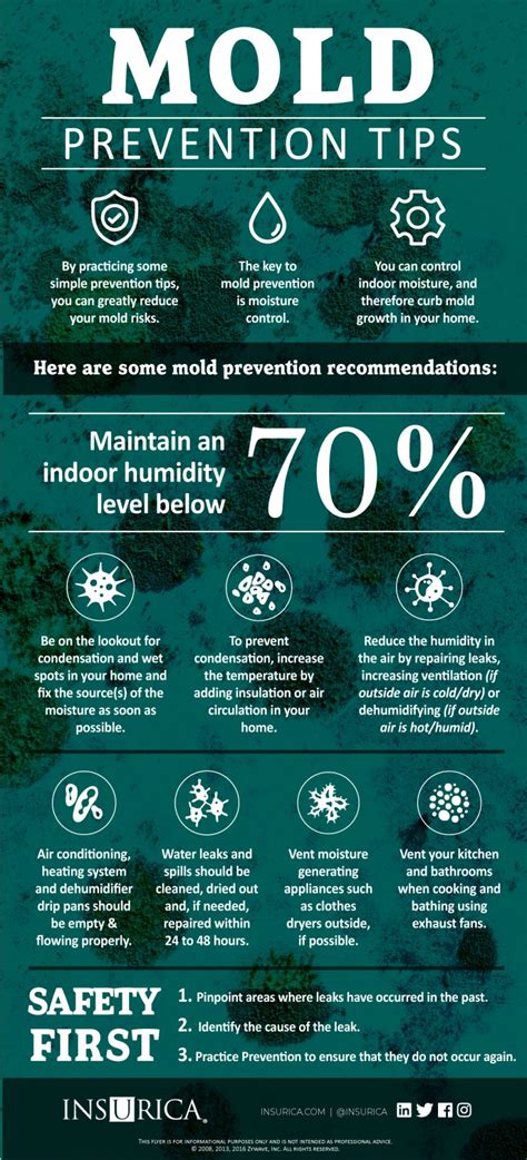 Mold Prevention Tips for Your Home - INSURICA