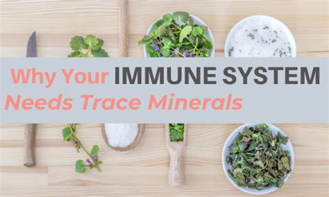 Benefits of Trace Minerals for Your Immune System - Khroma Herbal Products