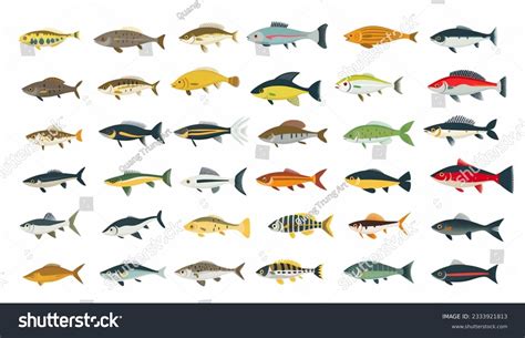 List Freshwater Aquarium Fish Species Vector Stock Illustration ...