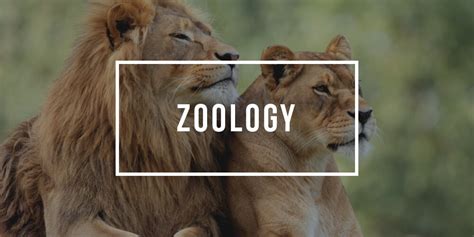 Major in Zoology| Zoology Degree Programs| Plexuss