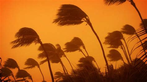 The Damage of Wind to Your Home