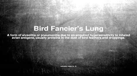 Medical vocabulary: What does Bird Fancier's Lung mean - YouTube