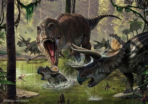 Tyrannosaurus Rex Vs Triceratops Por: Franco Tempesta | Dinosaur art, Paleo art, Prehistoric animals