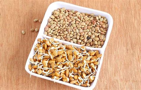 Horse Gram Sprouts Weight Loss | Blog Dandk