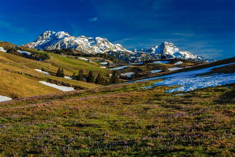 All You Need To Know To Visit Velika Planina In Slovenia