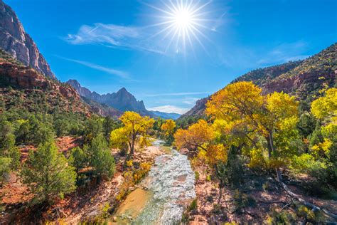 Peak Fall Colors Zion NP! Zion National Park Fall Foliage … | Flickr