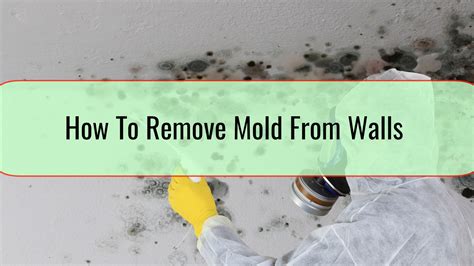 How To Remove Mold From Walls • Xpert Home Tips