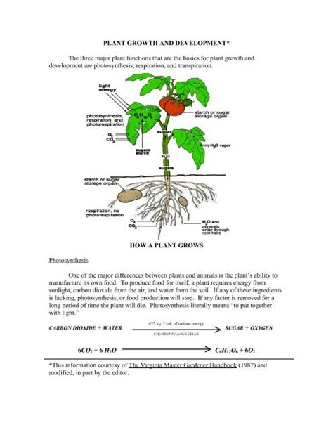 PLANT GROWTH AND DEVELOPMENT*