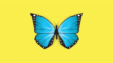 Butterfly Insect Minimal 5k Wallpaper,HD Artist Wallpapers,4k Wallpapers,Images,Backgrounds ...