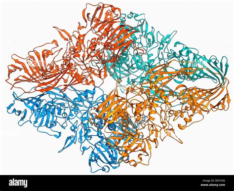 Beta-galactosidase molecule Stock Photo - Alamy