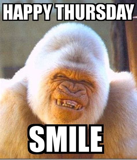 Happy Thursday | Thursday humor, Funny thursday quotes, Morning quotes funny