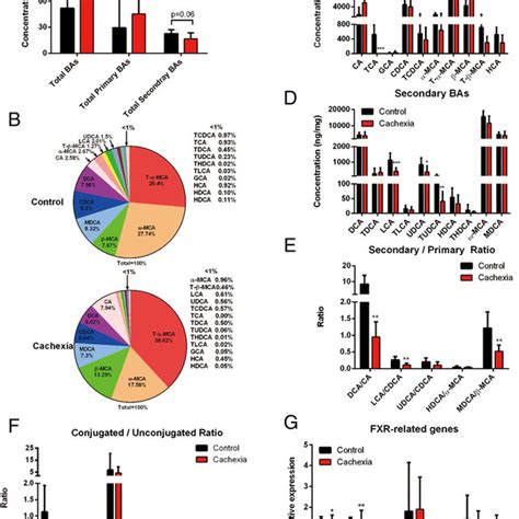 Cachexia symptoms of cancer cachexia model mice (C26 tumour-bearing... | Download Scientific Diagram