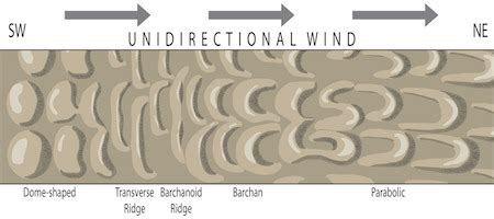 Types Of Sand Dunes